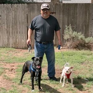 Meet your Posher, Sunday